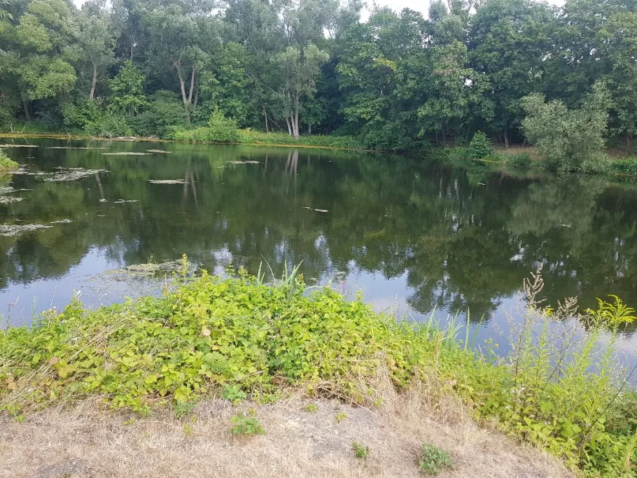 Restloch 1 (Rudolstadt) angeln