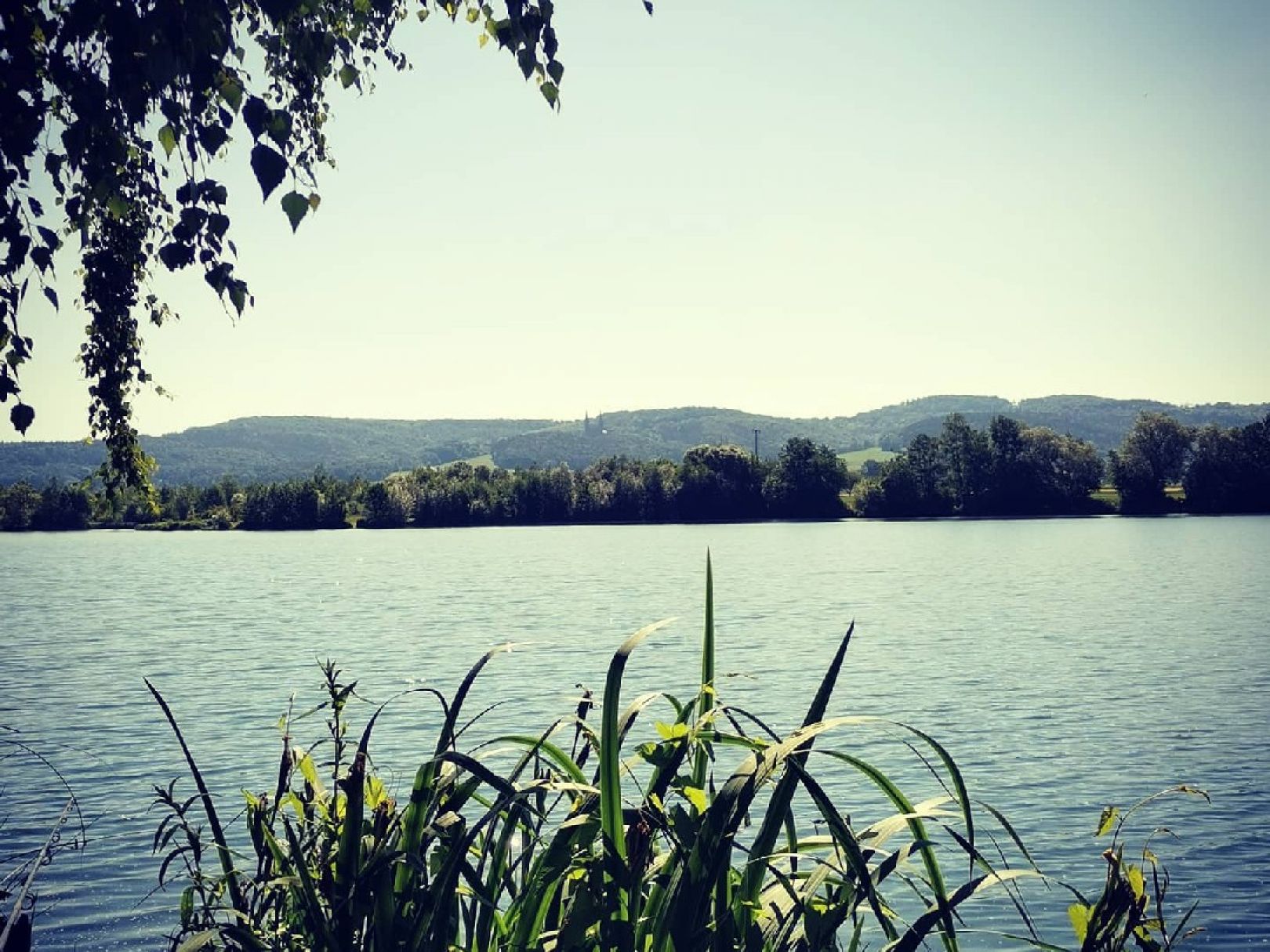 Baggersee Schönbrunn angeln