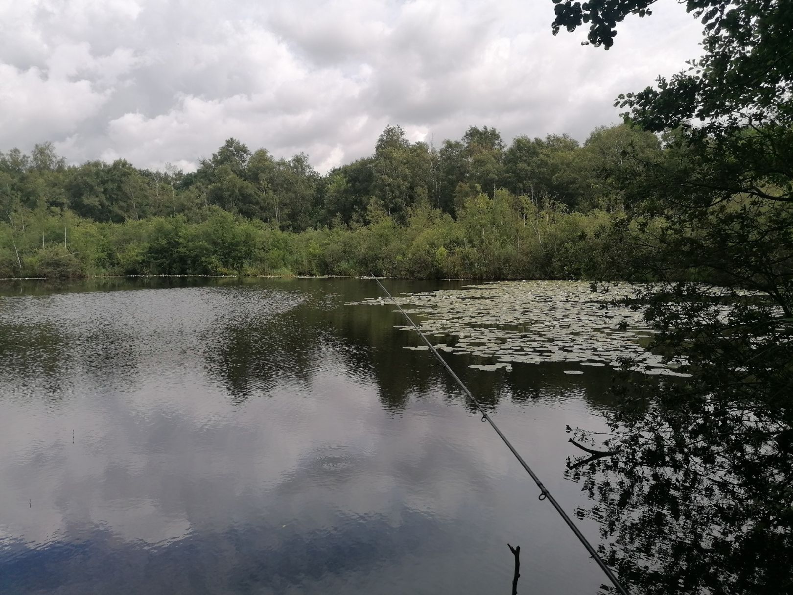 Siemser Moor angeln