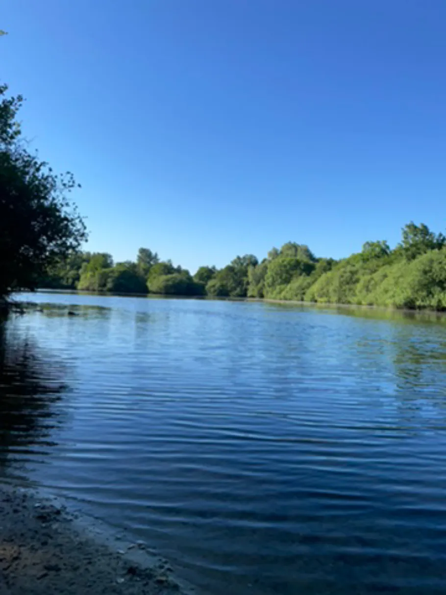 Rückhaltebecken (Blockhorn) angeln