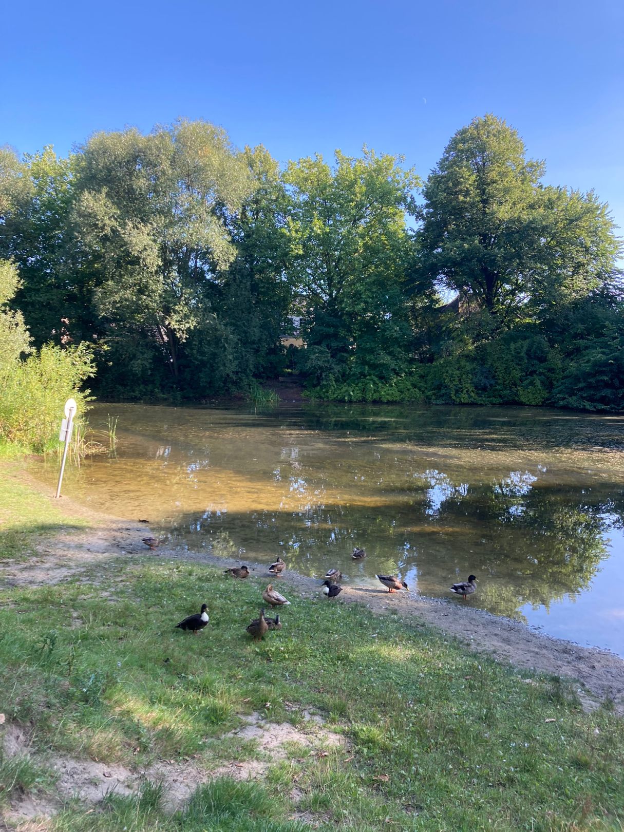 Greifenberg Teich angeln