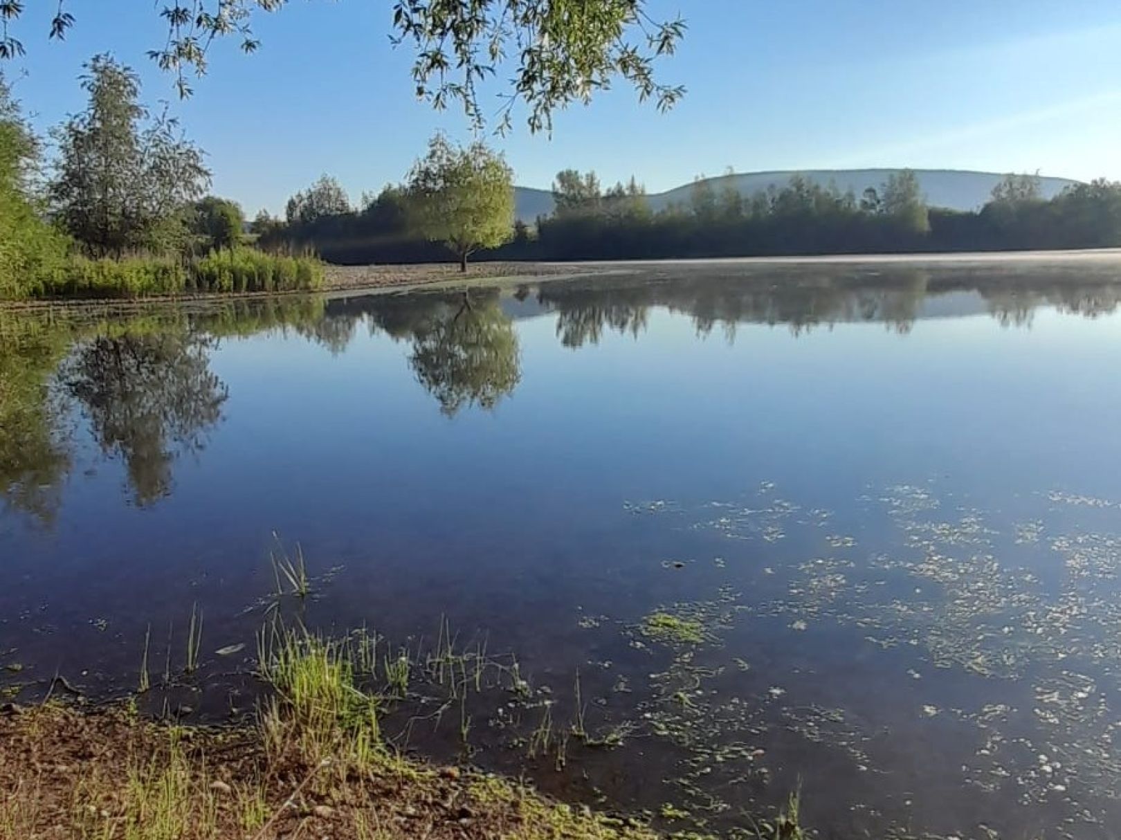 Doktorsee 2 (Rinteln) angeln