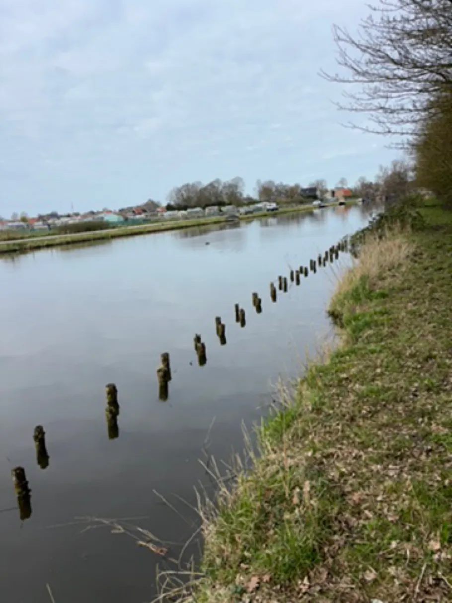 Narre Vliet (Wervershoof) angeln