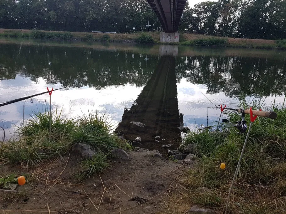 Stichkanal Salzgitter (Salzgitter) angeln