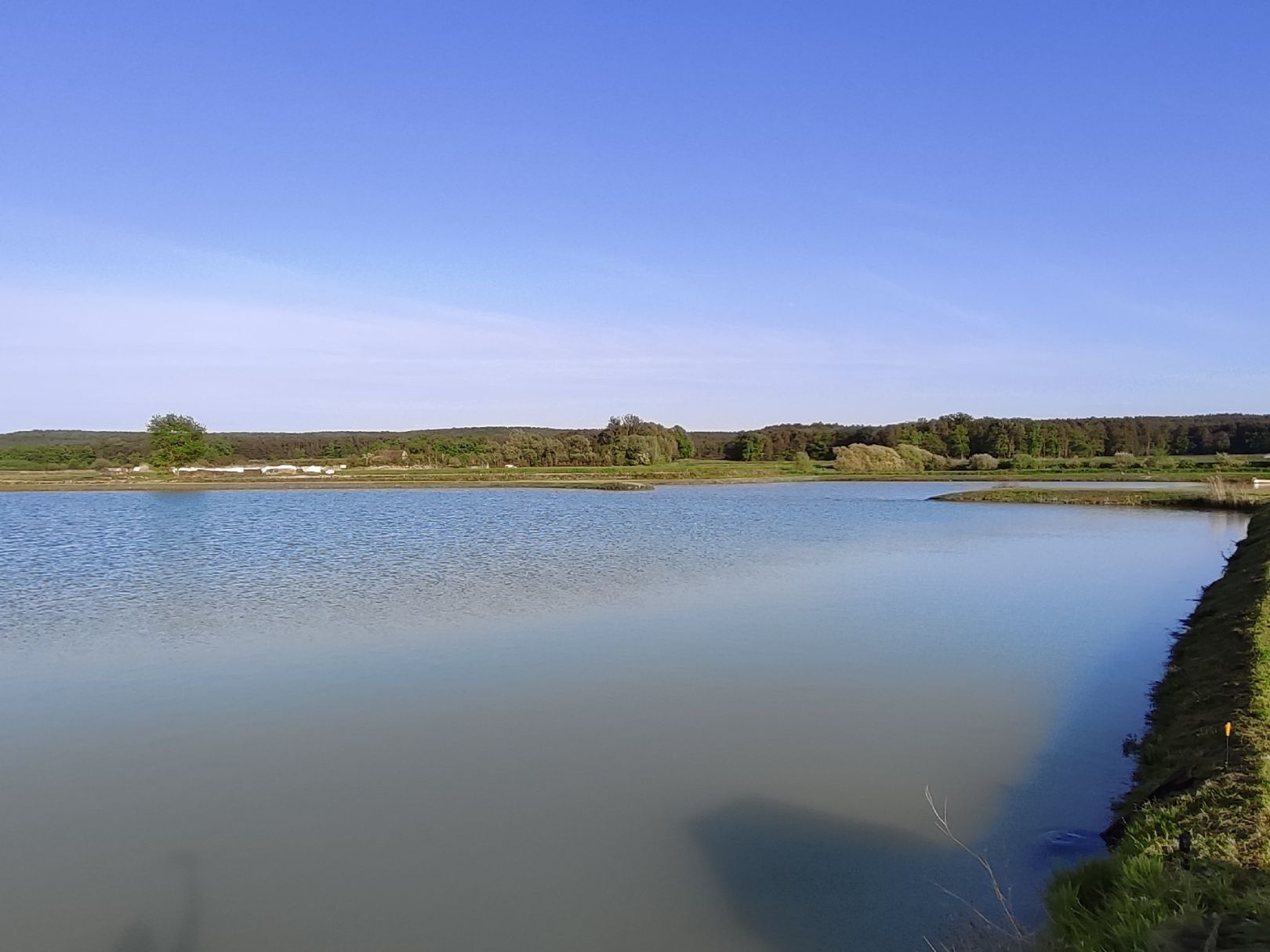 Frischenweiher (Weppersdorf) angeln
