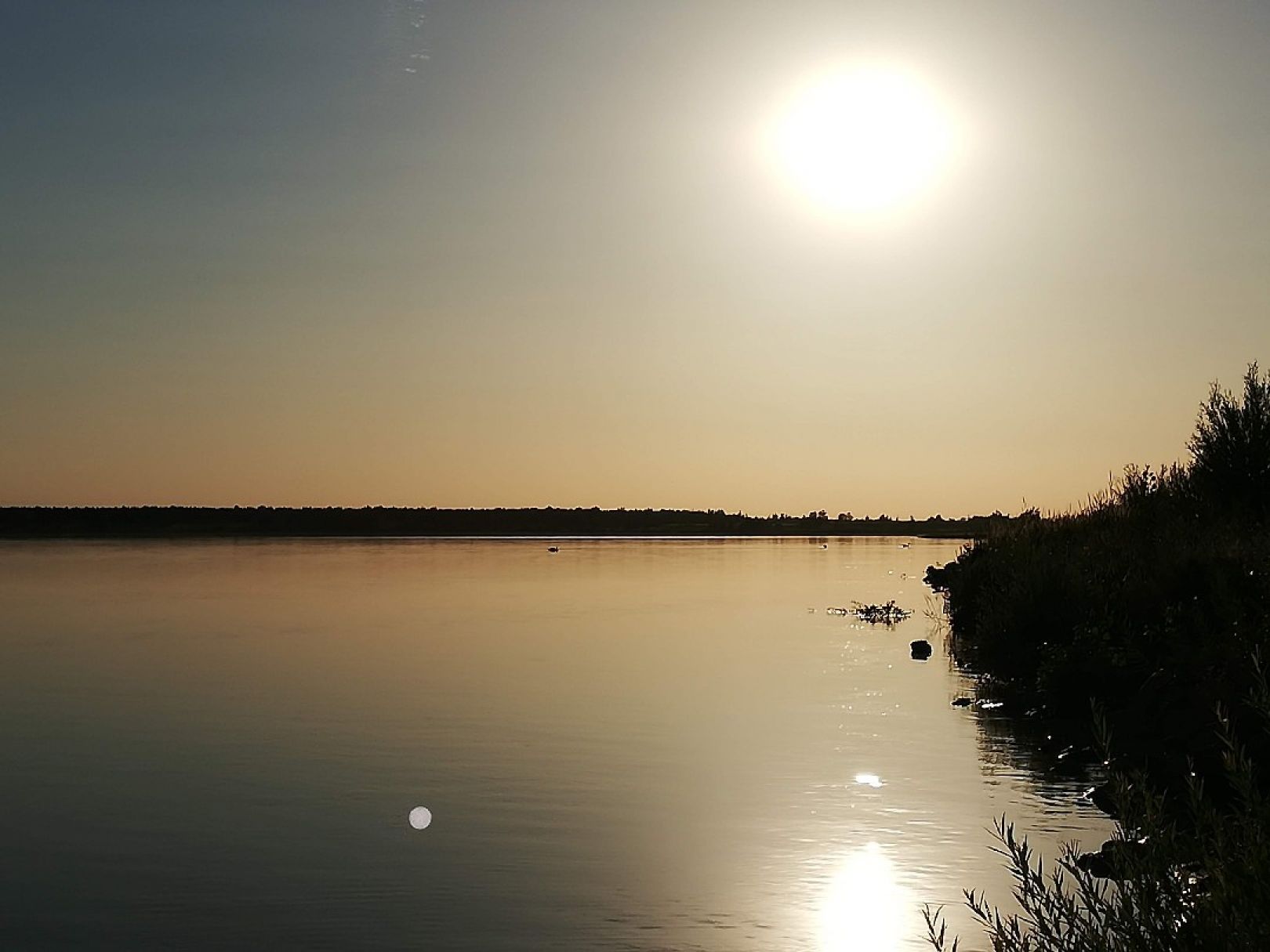 Seelhausener See ALLE ANGELN