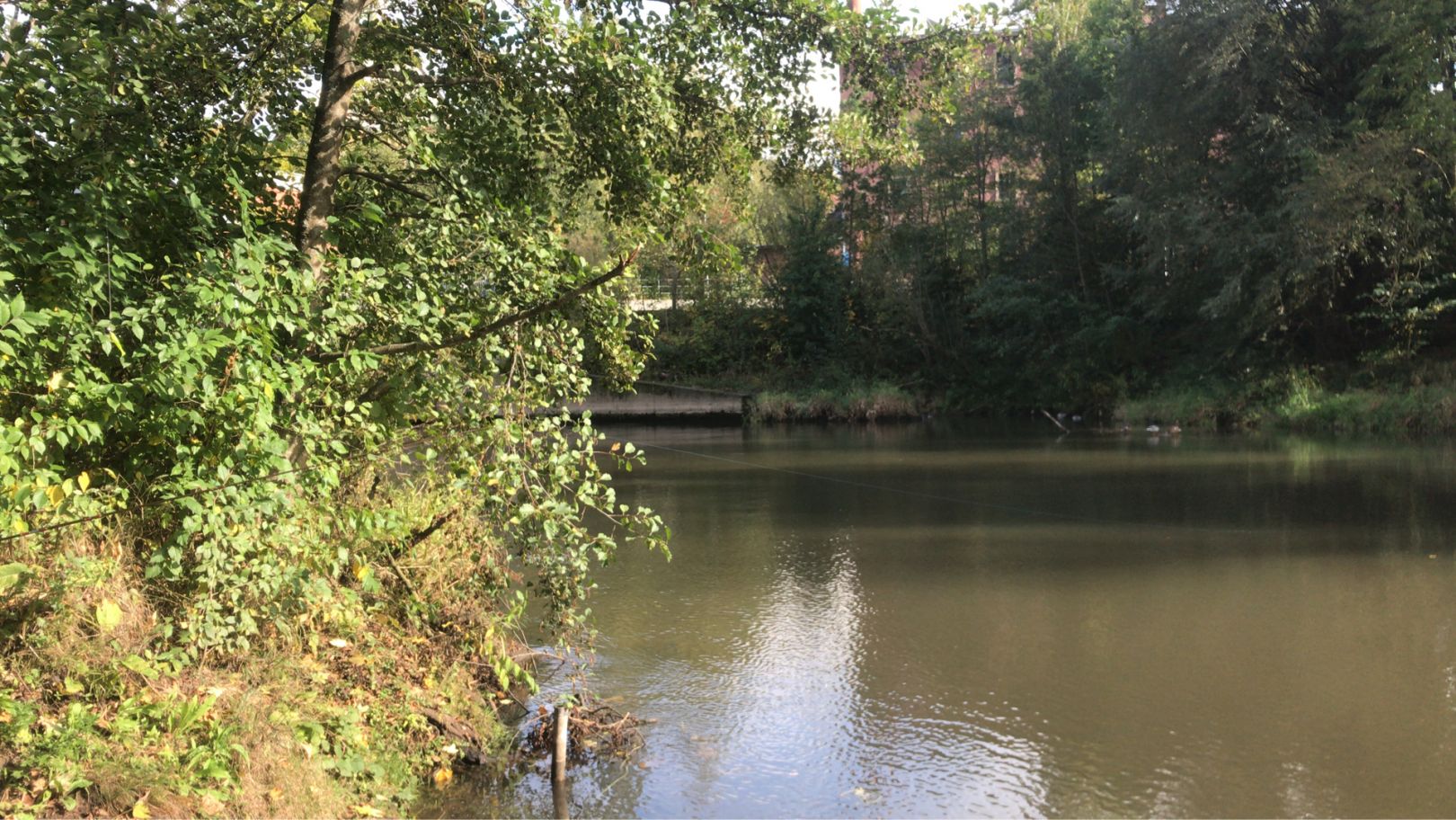 Fränkische Saale (Bad Kissingen) angeln