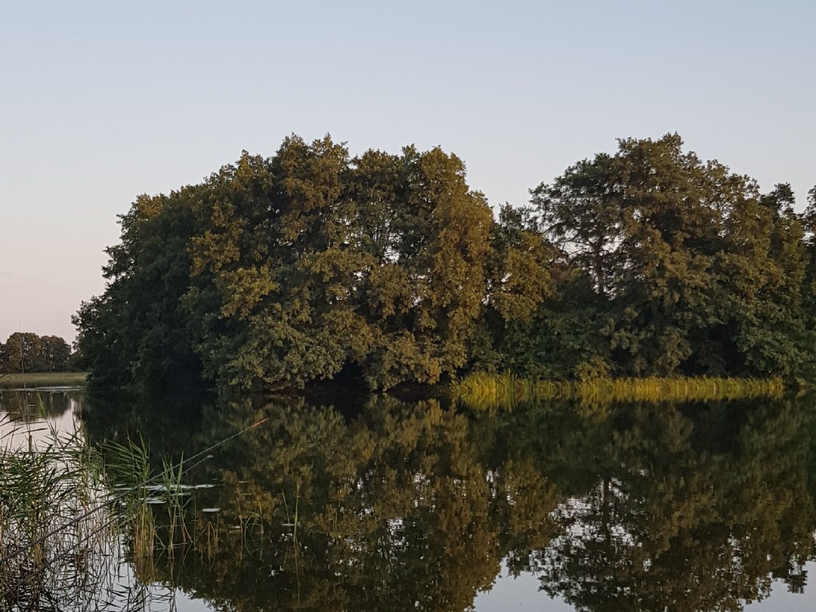 Angeln in Vollrathsruhe