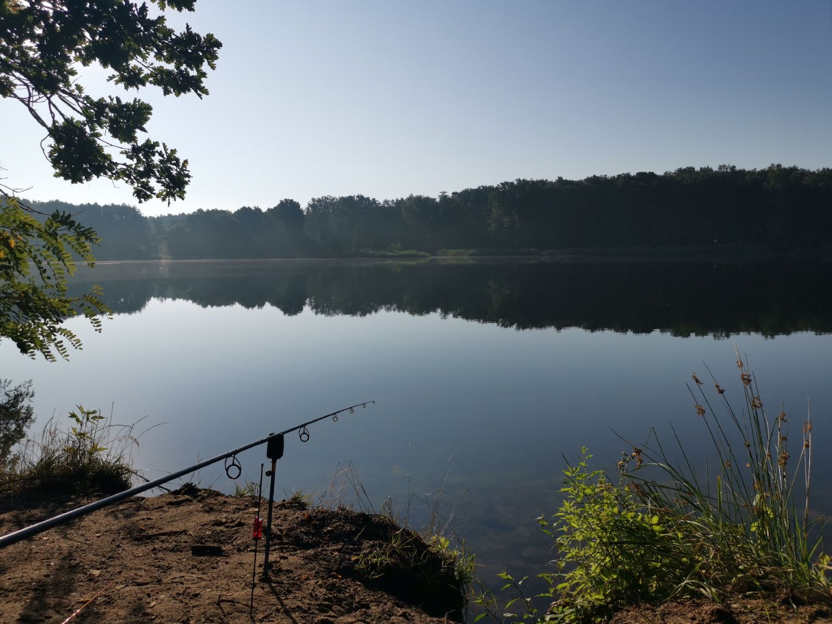 Grabowsee (Oranienburg) angeln