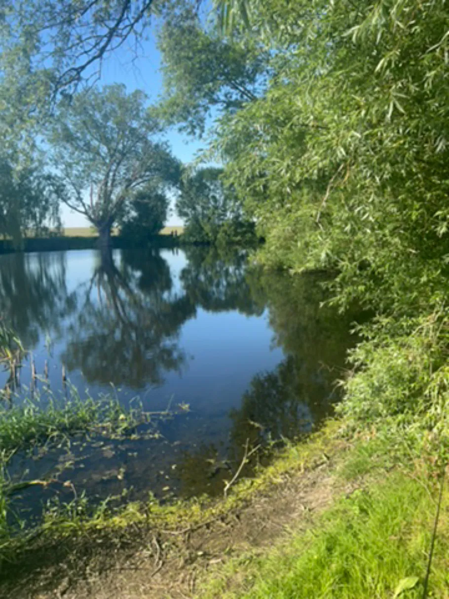 Dorfteich Bliesekow angeln
