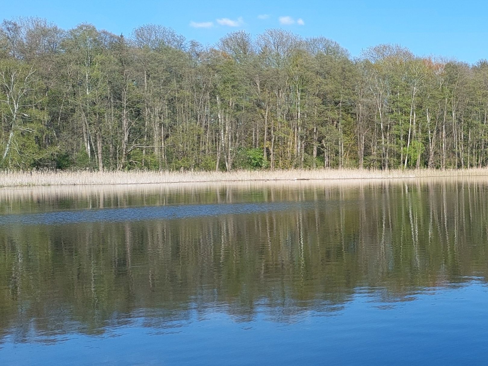 Polsensee angeln