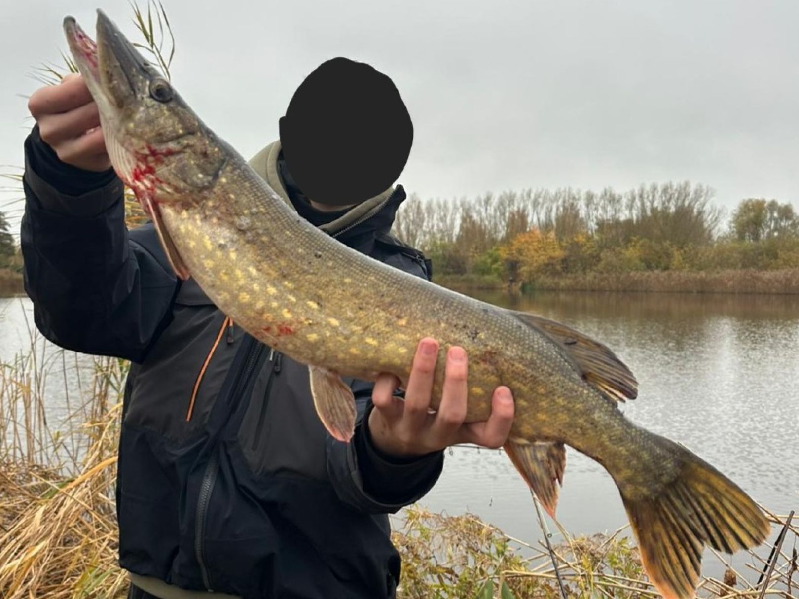 Prohner Stausee angeln