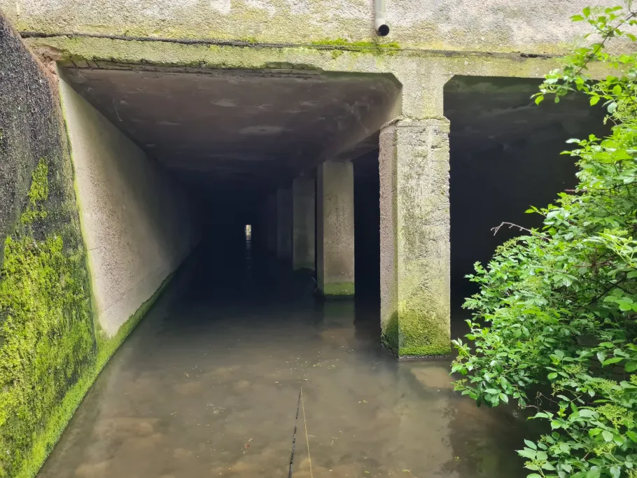 Verlorener Bach angeln