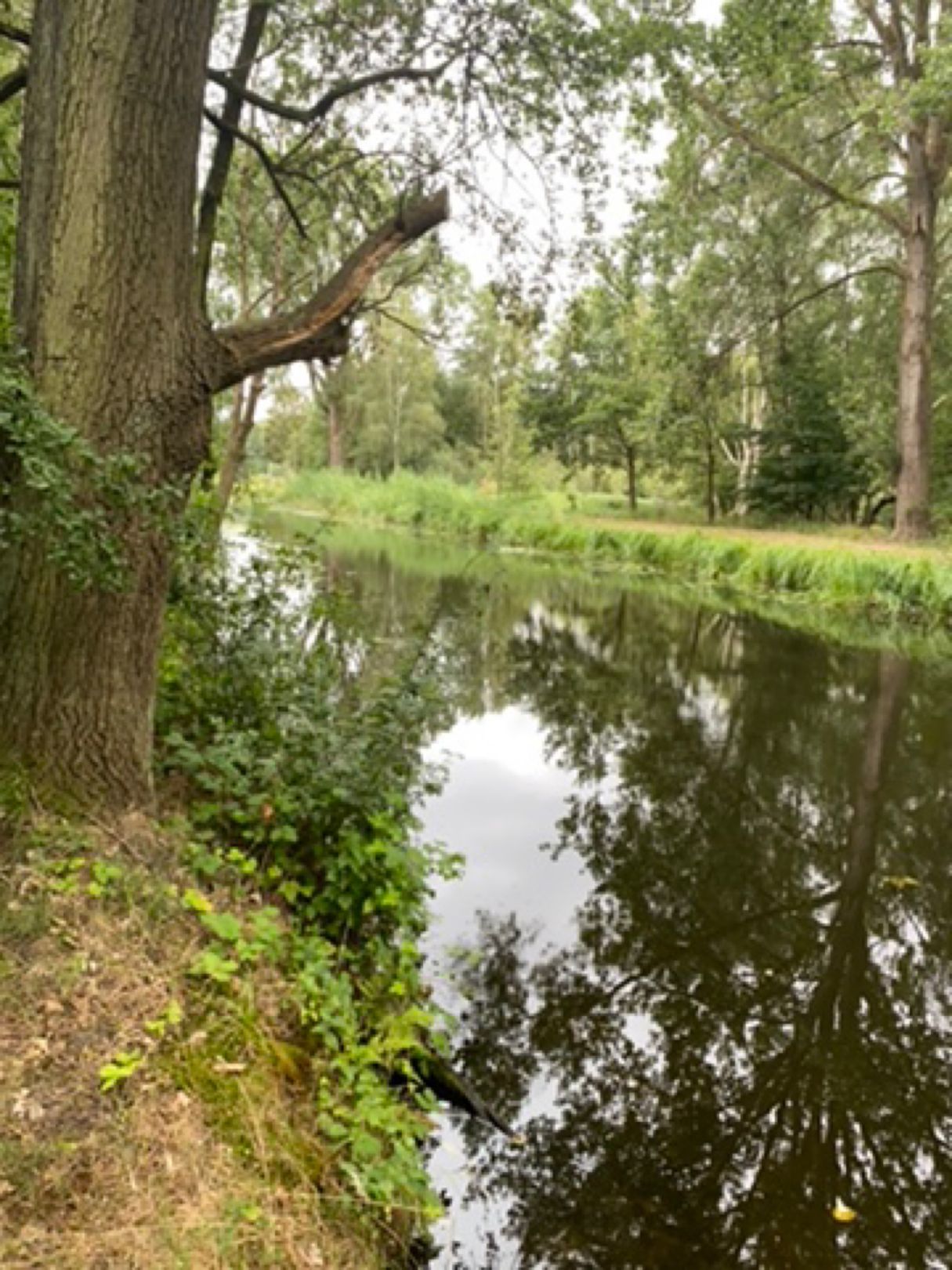 Ziegeleikanal Malliß angeln