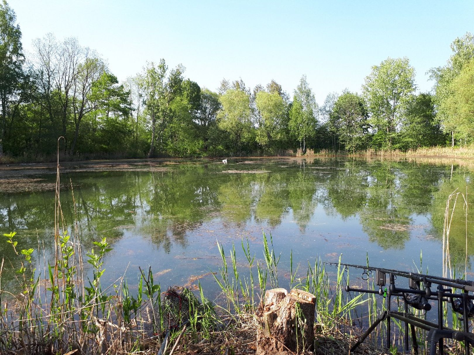 Neuteich (Lauchhammer) angeln