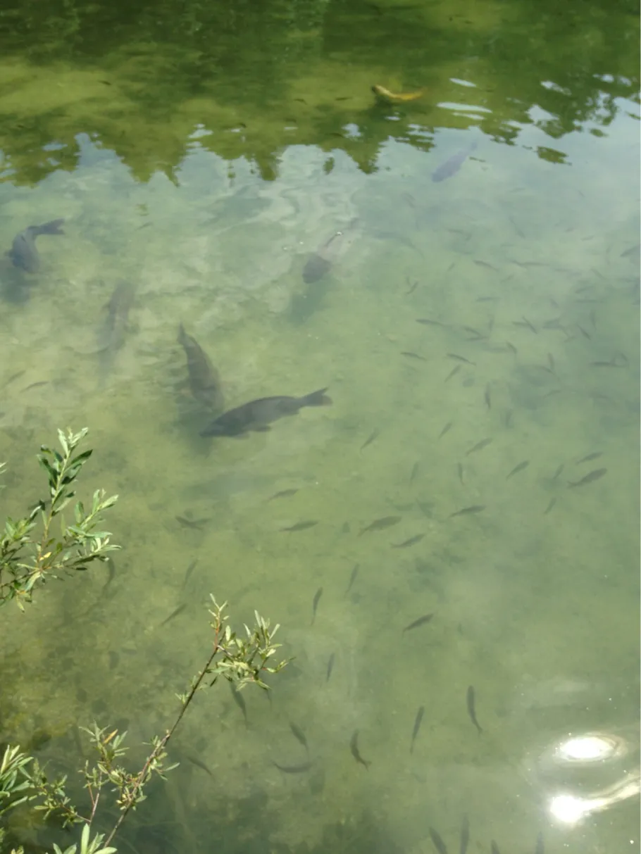Hechtsee (Kiefersfelden) angeln
