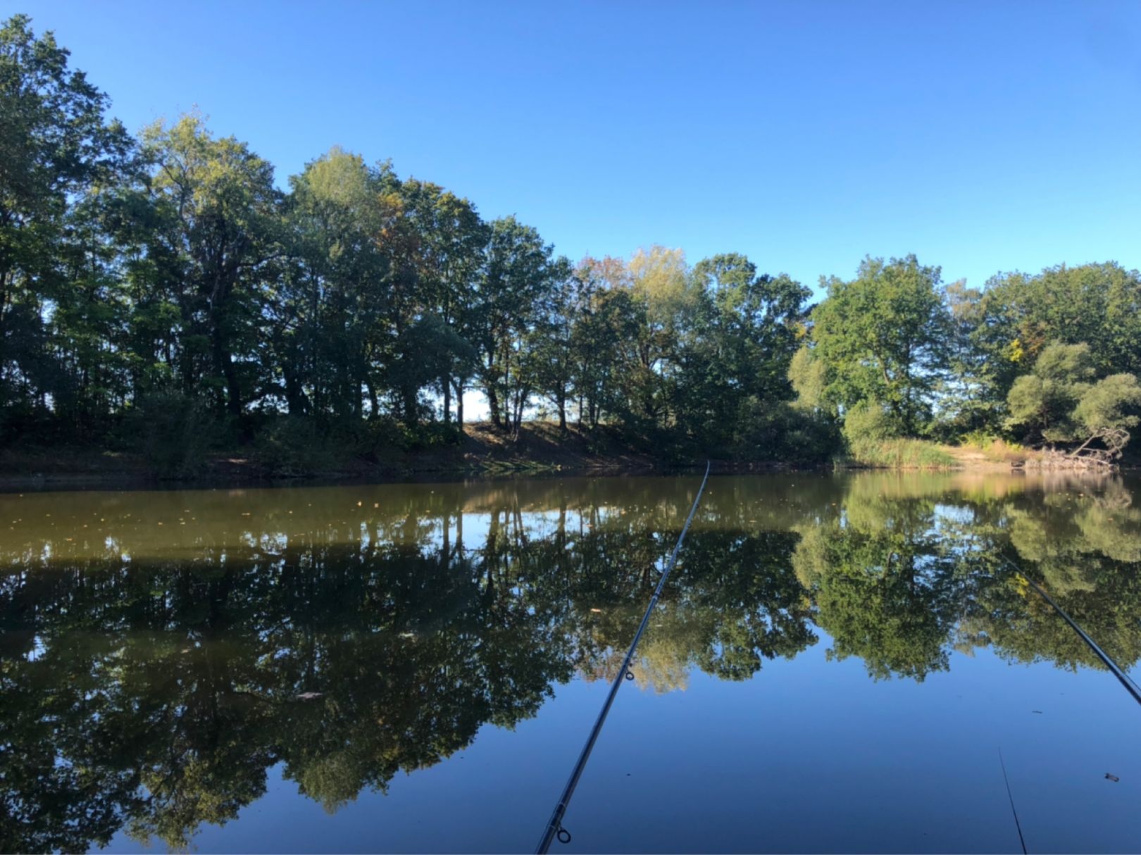 Tonteich Brusendorf angeln