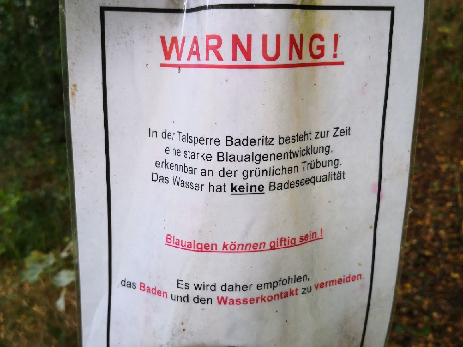 Stausee Baderitz angeln