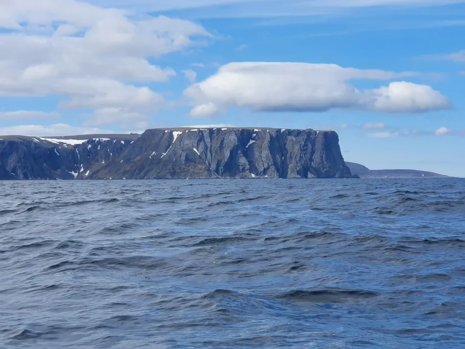 Kamøyfjorden angeln