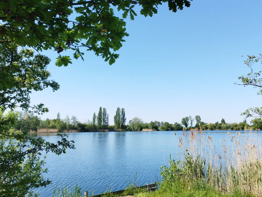 Oberwiesensee (Trebur) angeln