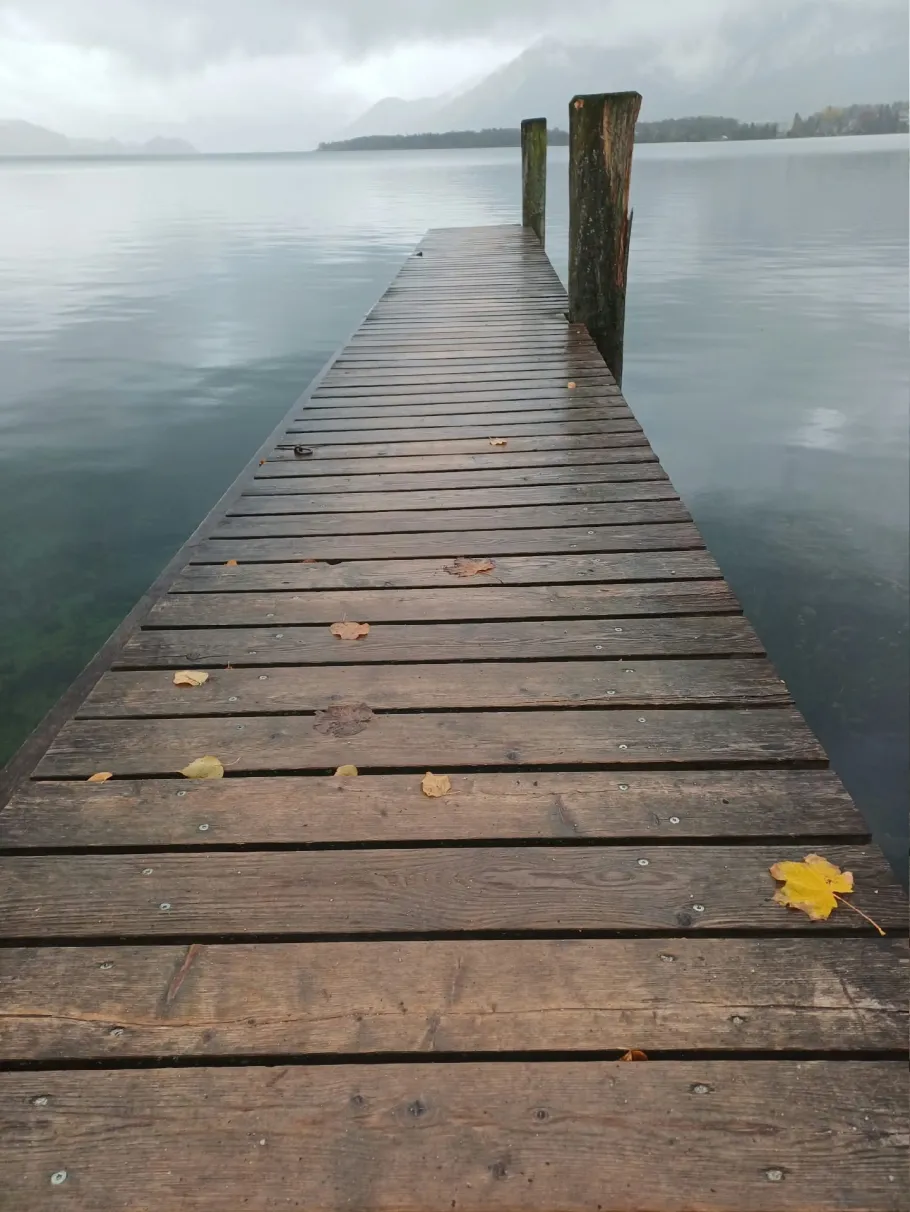 Mondsee angeln