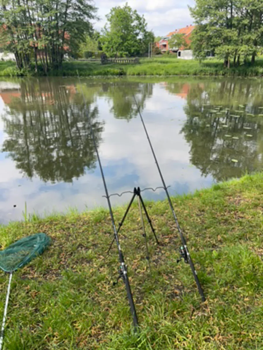 Rückhaltebecken Baßriede 1 angeln