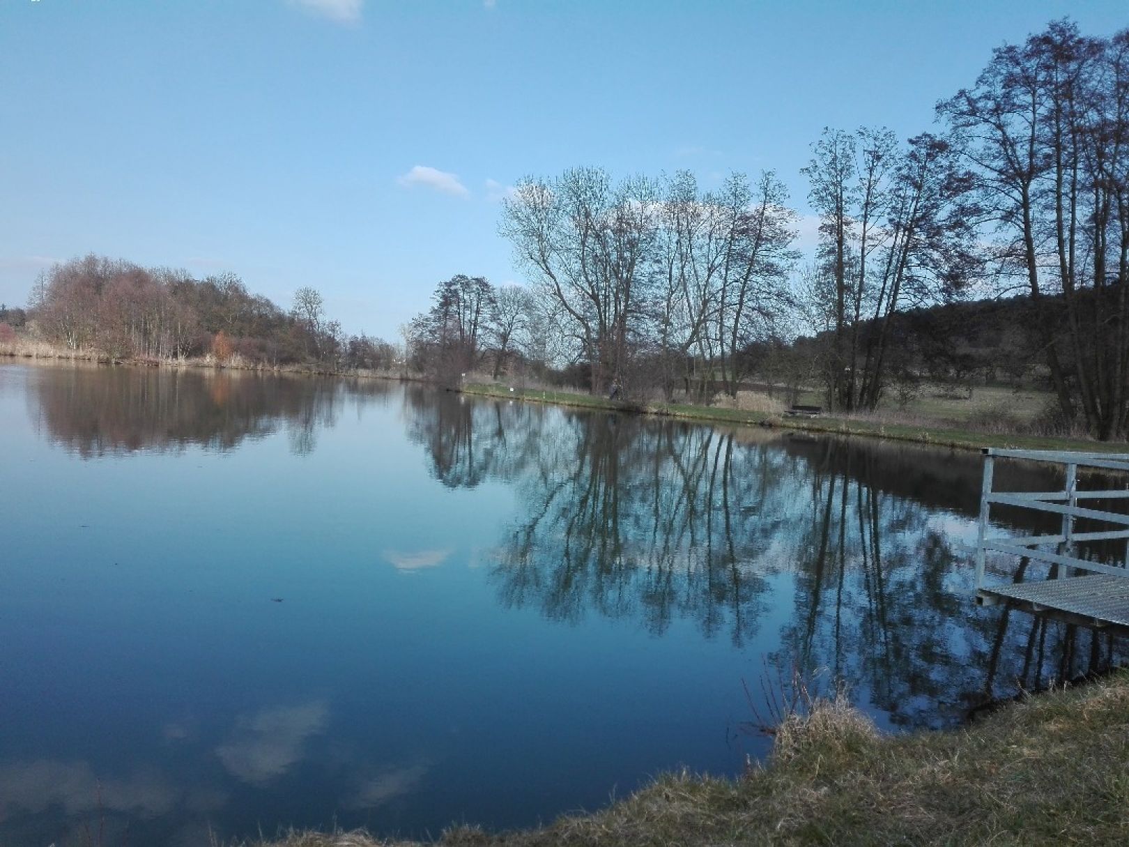 Teich Griedel ALLE ANGELN