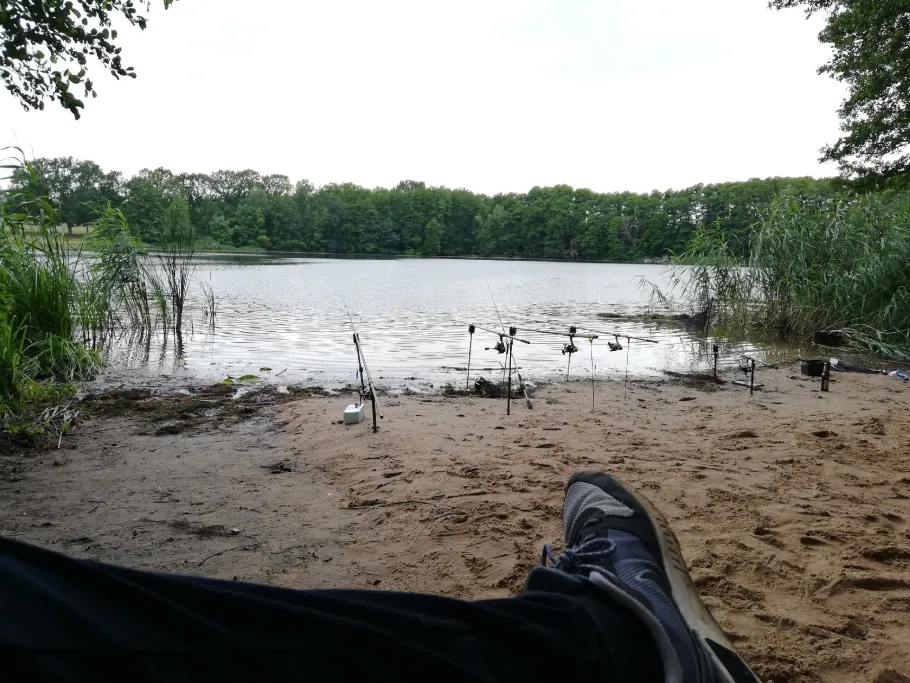 Großer Plötzsee angeln