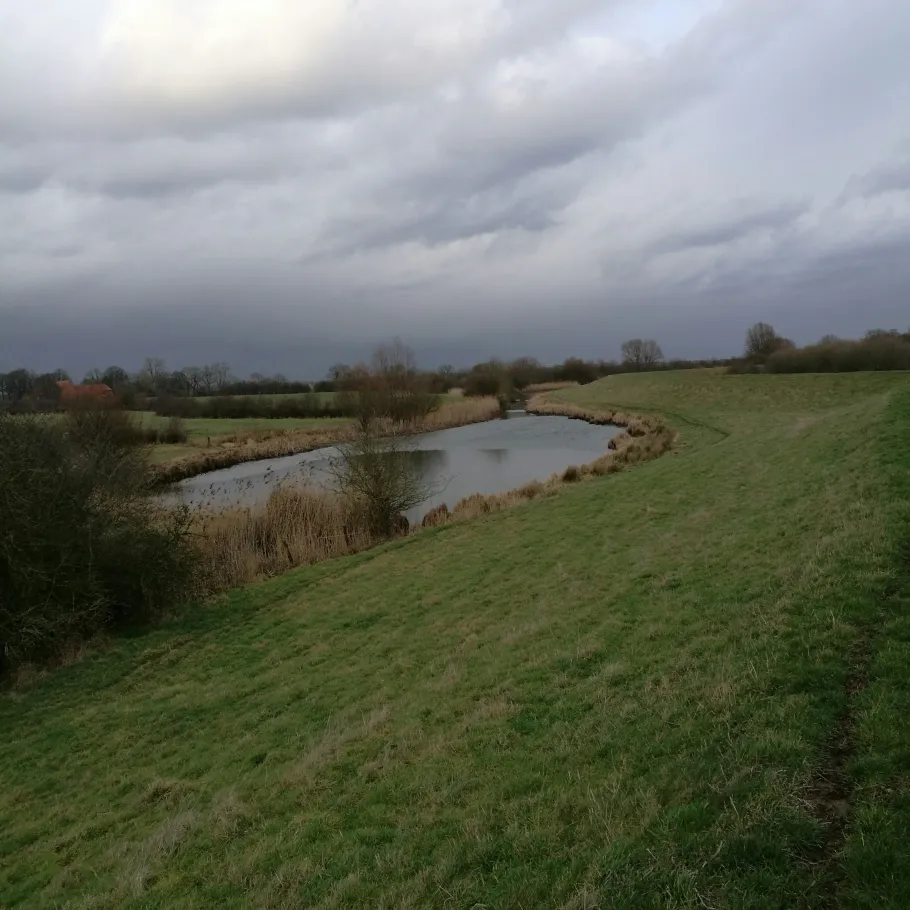 Schlieme (Ahausen) angeln