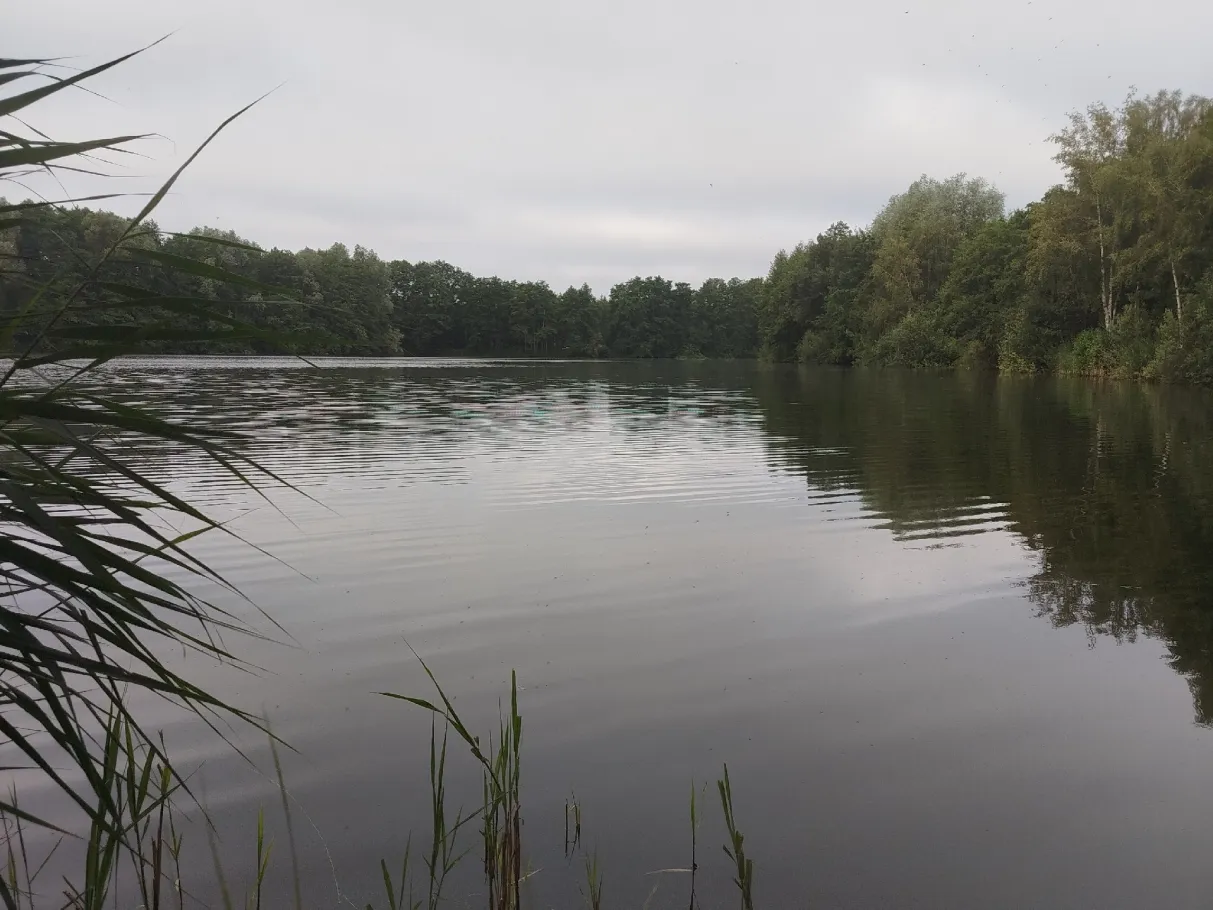 Bitumensee (Osloß) angeln