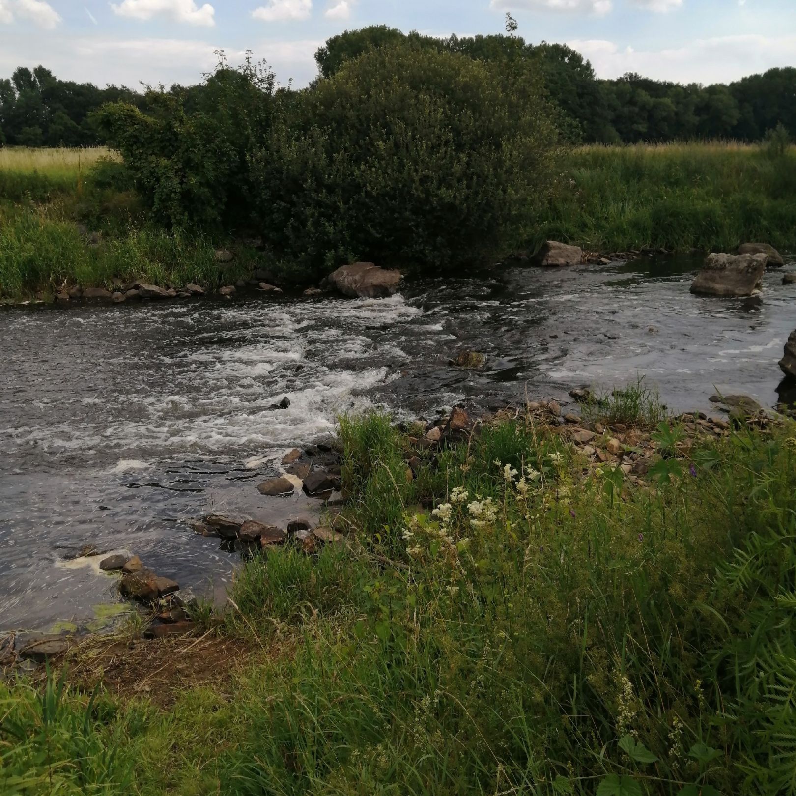 Ems (Gütersloh) angeln
