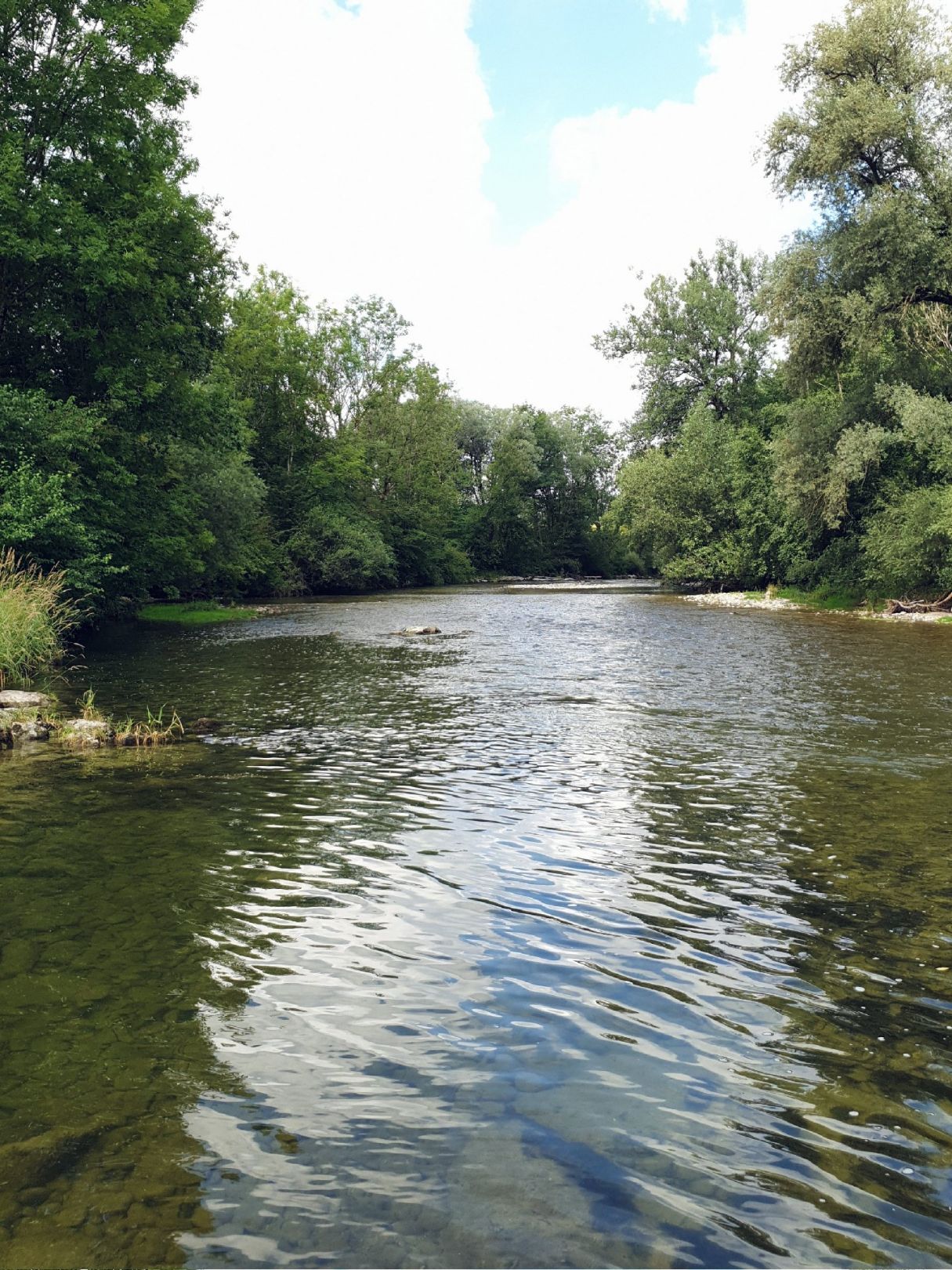Mangfall (Bruckmühl) angeln