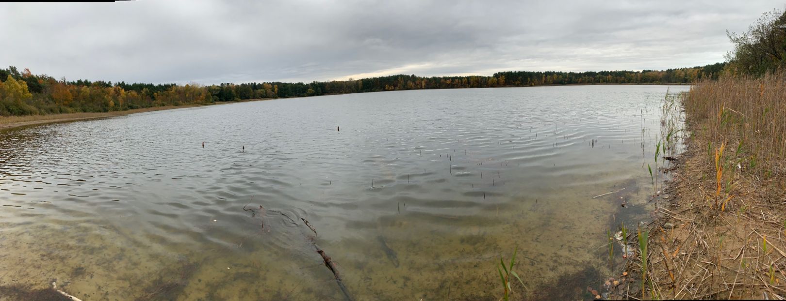 Güldensee (Groß Köris) angeln