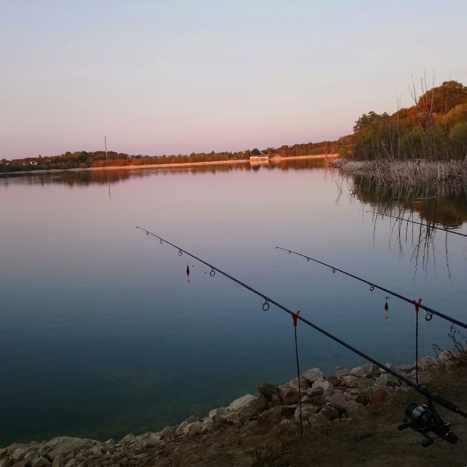 Edderitzer See angeln