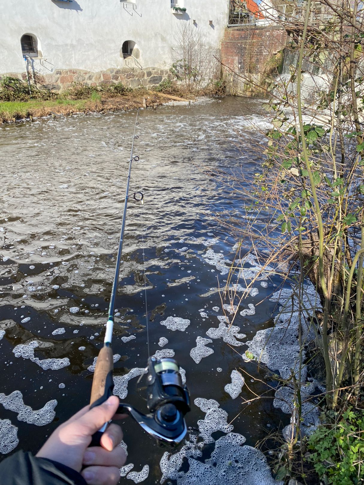 Wipperau (Uelzen) angeln