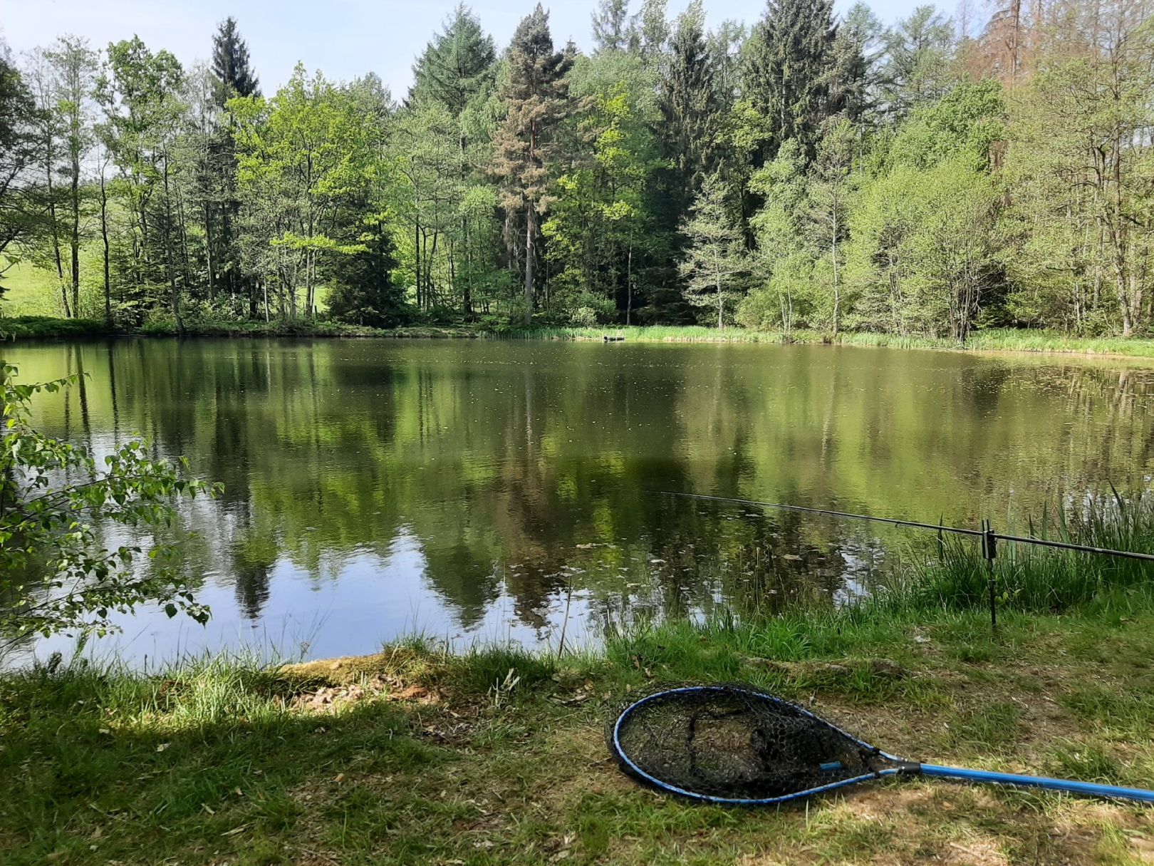 Röppelnbrücher Weiher angeln