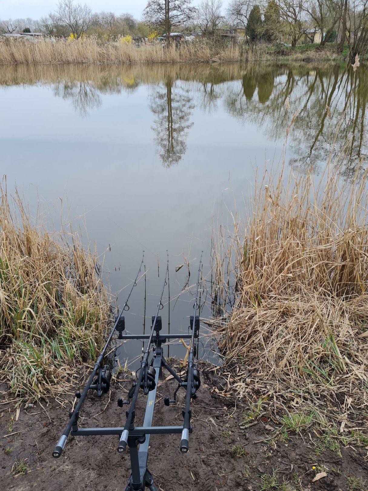 Schmittscher Teich (Güstrow) angeln