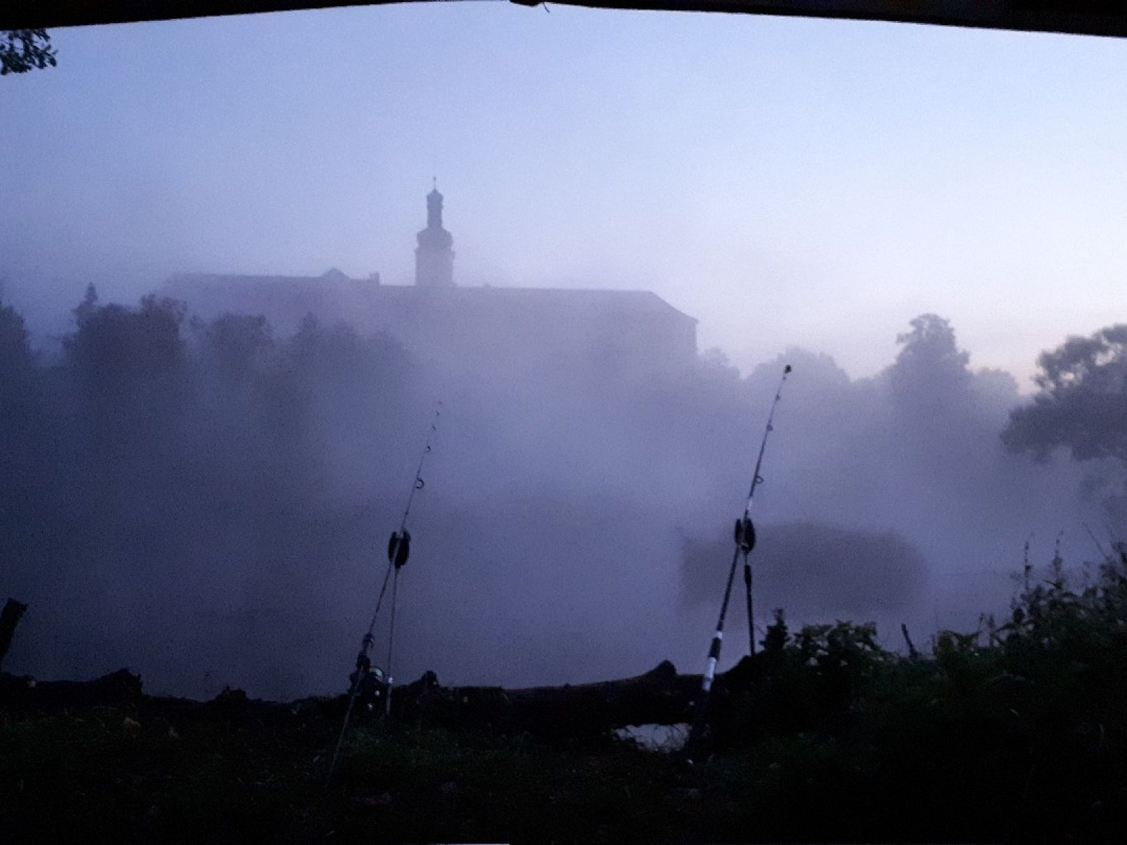 Regen (Walderbach) angeln