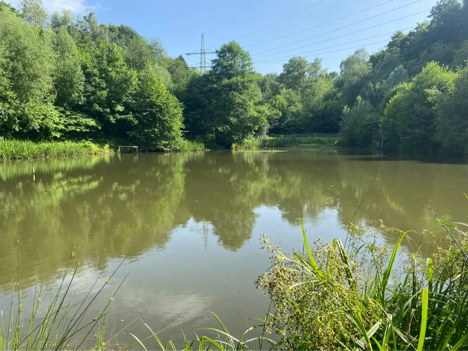 Hammerteich (Remscheid) angeln