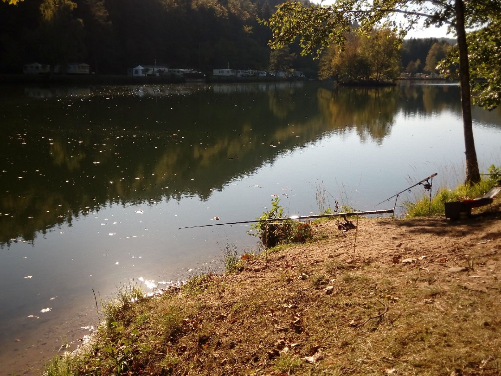 Clausensee (Waldfischbach-Burgalben) angeln