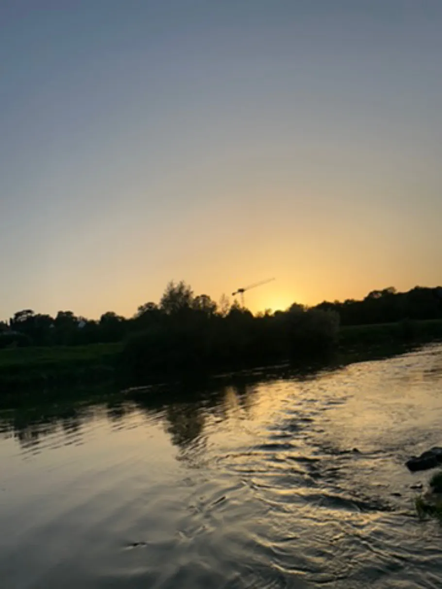 Weser (Höxter) angeln