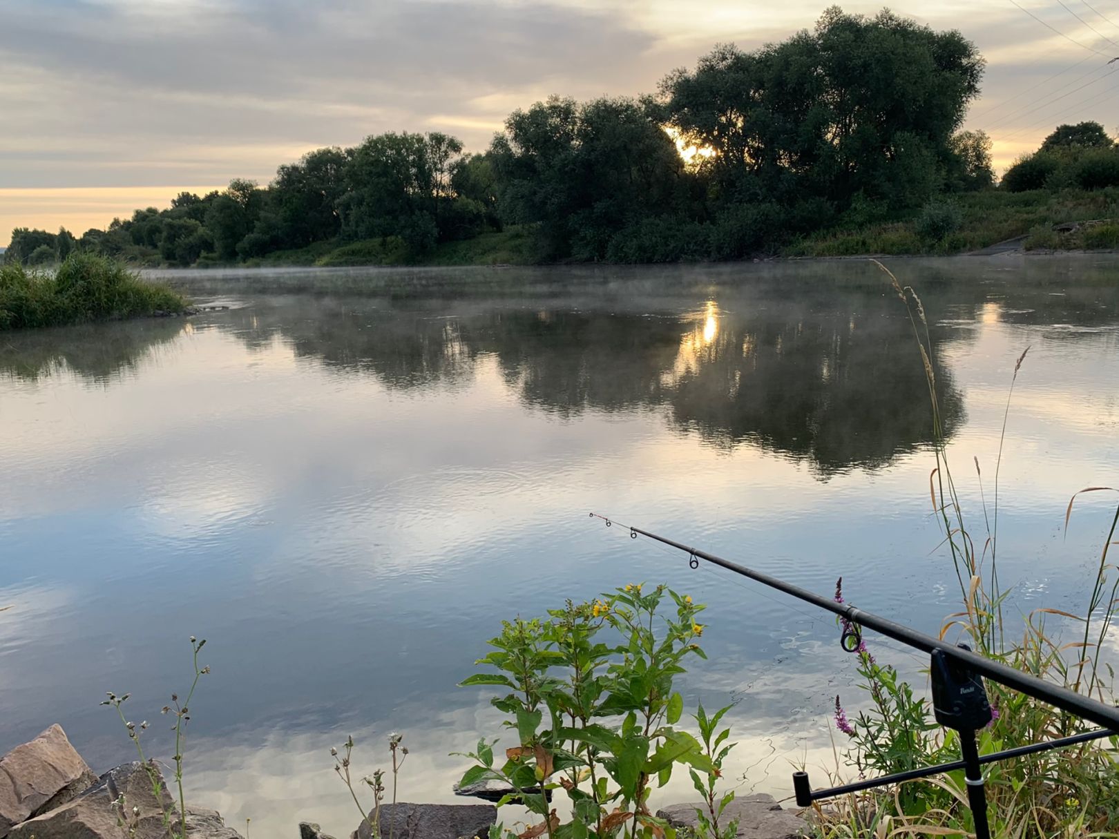 Weser (Höxter) angeln