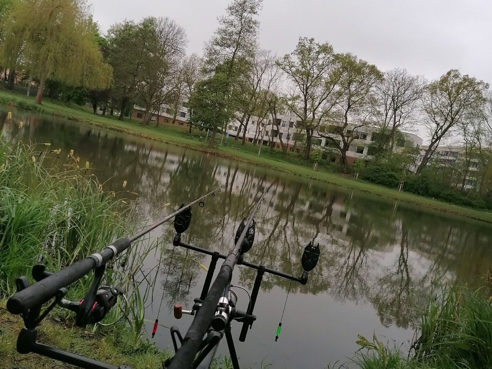 Weichpfuhl (Luckenwalde) angeln
