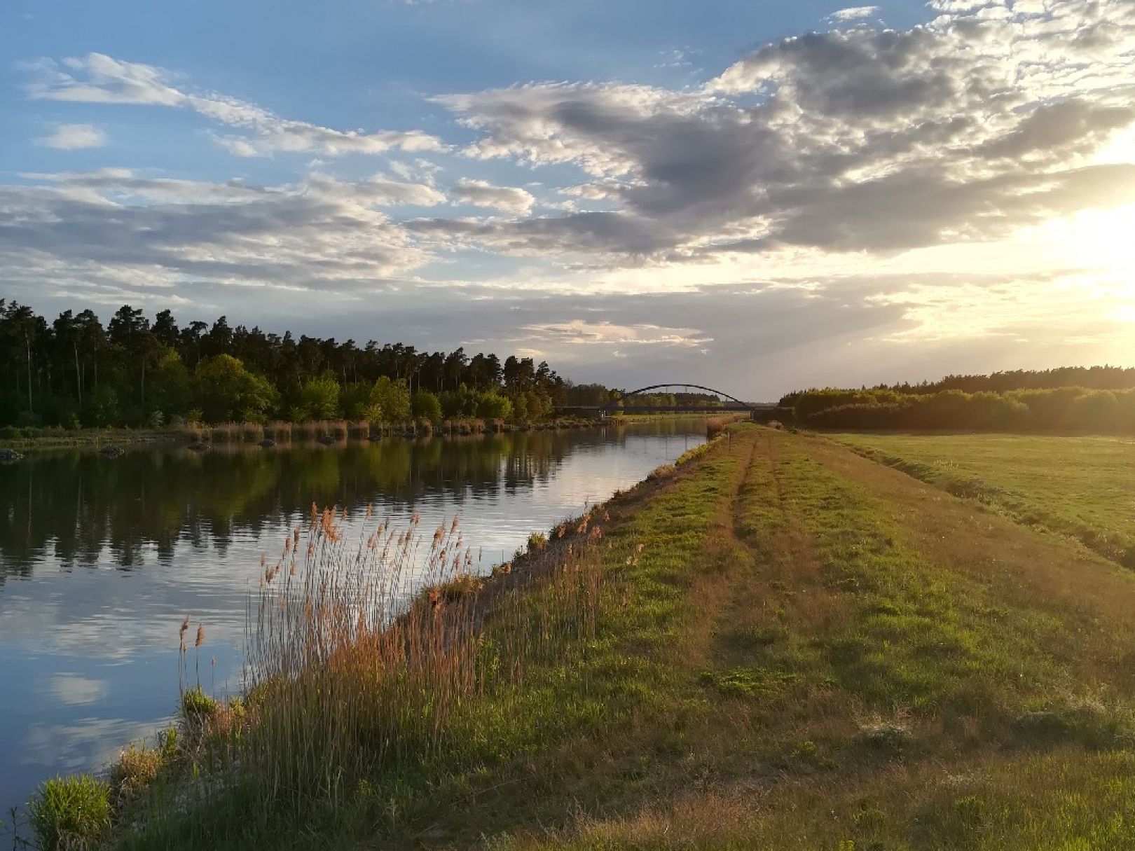 Elbe-Havel-Kanal (Wusterwitz) angeln