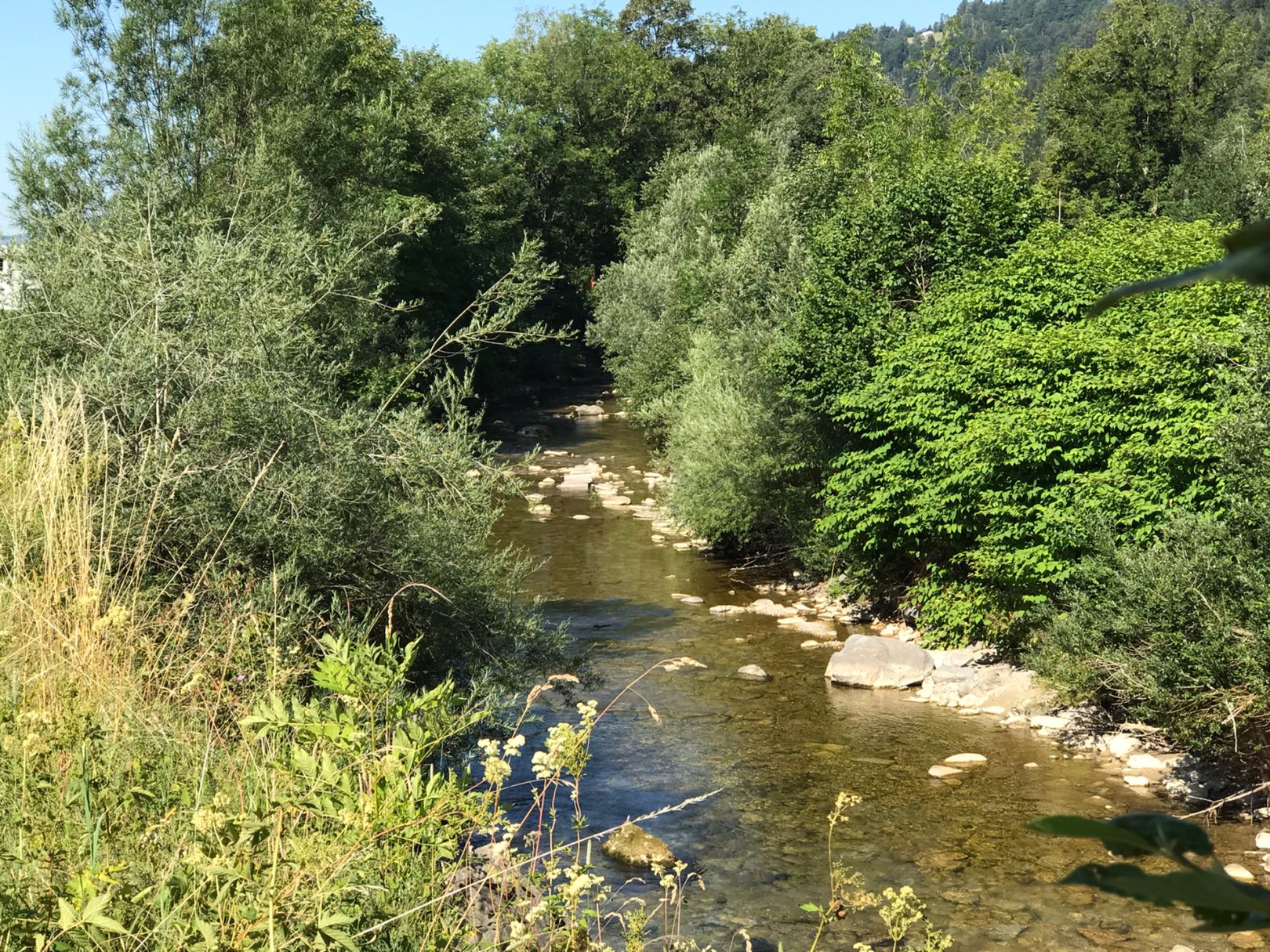 Weißach (Oberstaufen) angeln