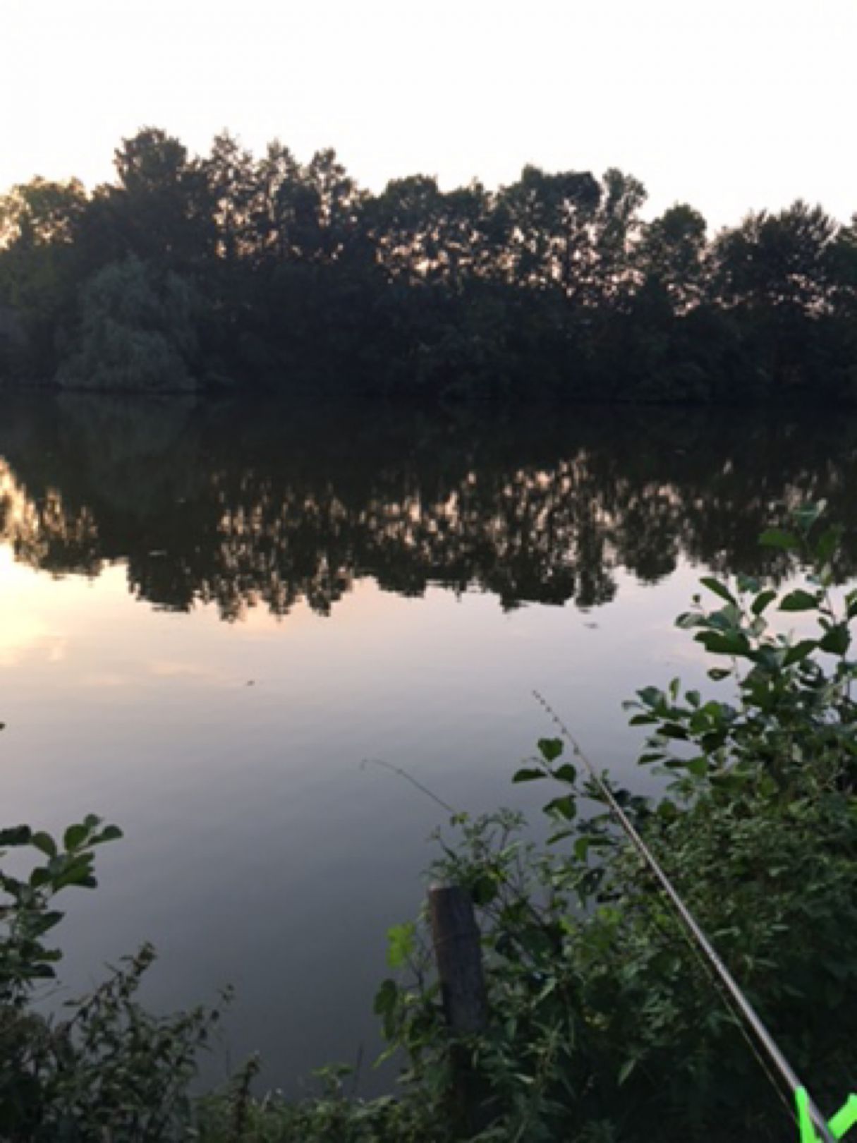 Floßteich Untschen angeln