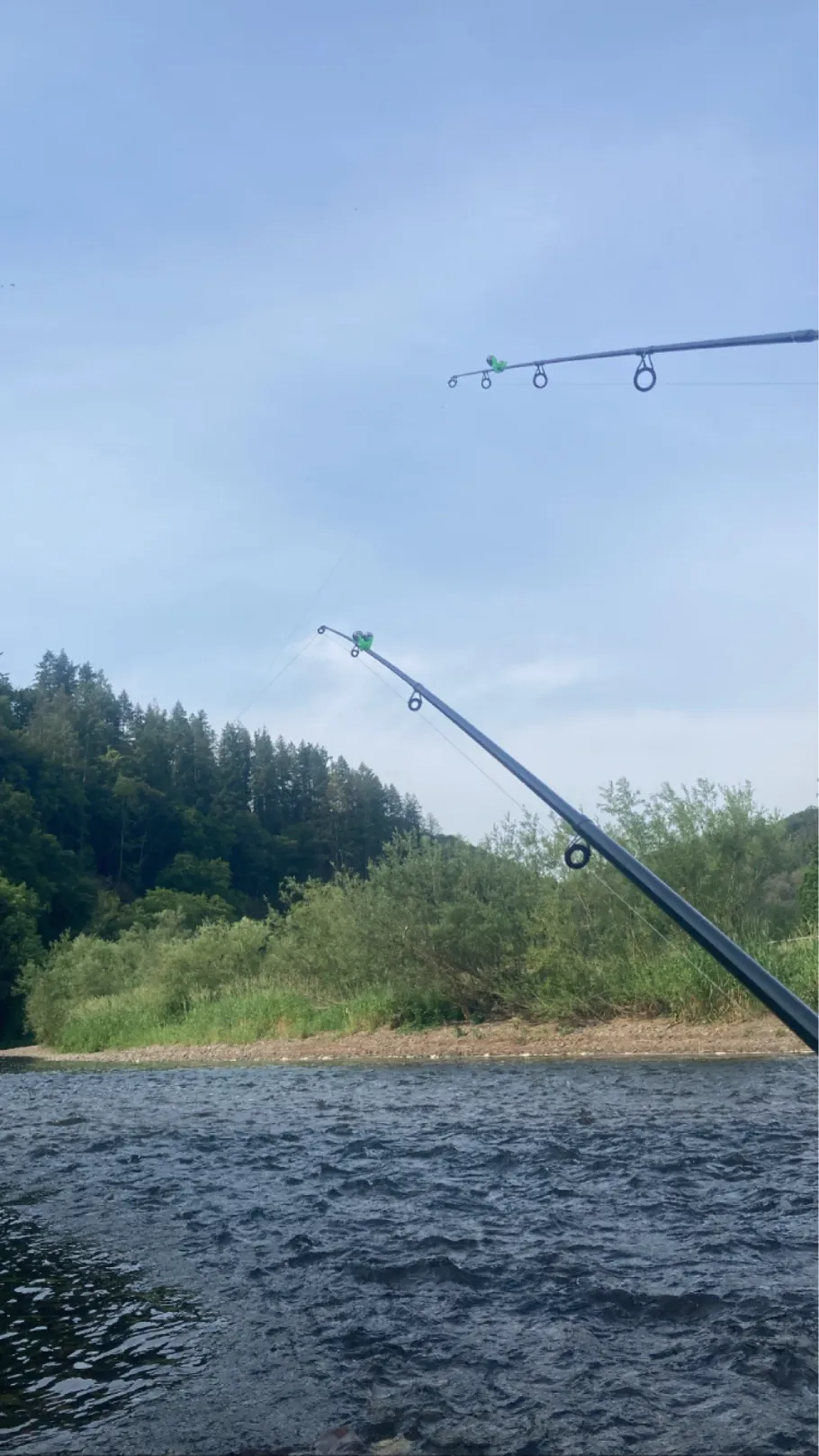 Sieg (Merten) angeln