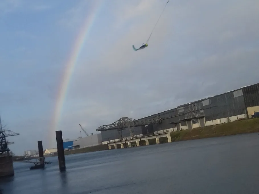 Rheinauhafen (Mannheim) angeln