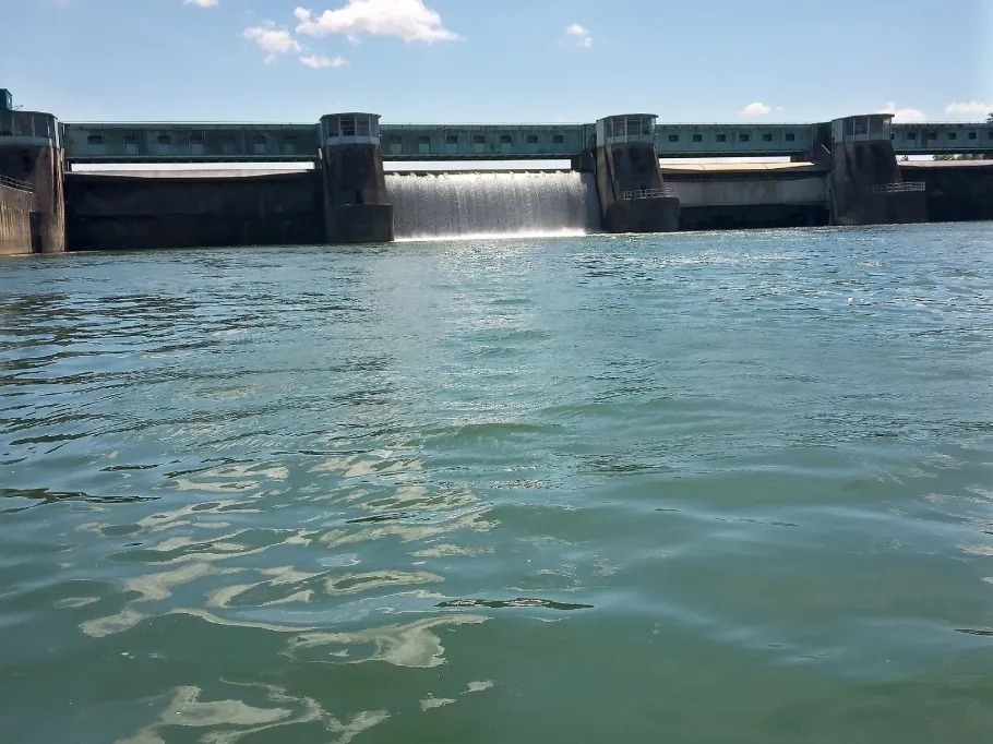 Rhein (Burkheim) angeln