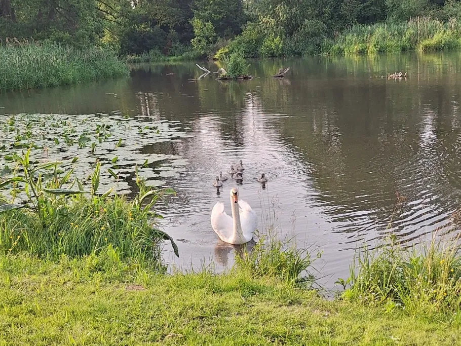Paar (Hohenwart-Freinhausen) angeln